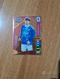 figurine panini