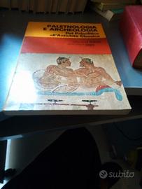 Paletnologia e archeologia