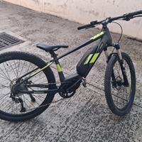 bici con pedalata assistita