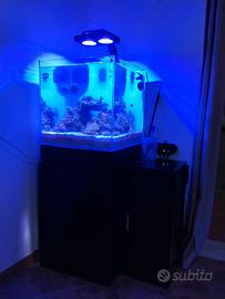 Acquario aqpet 50x50 completo di tutto