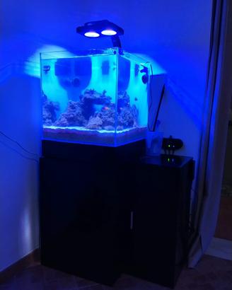 Acquario aqpet 50x50 completo di tutto