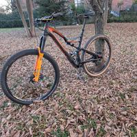 Specialized Stumpjumper Comp Carbon 29 L