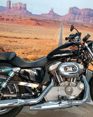 Harley-davidson 1200 Sportster Roadster R