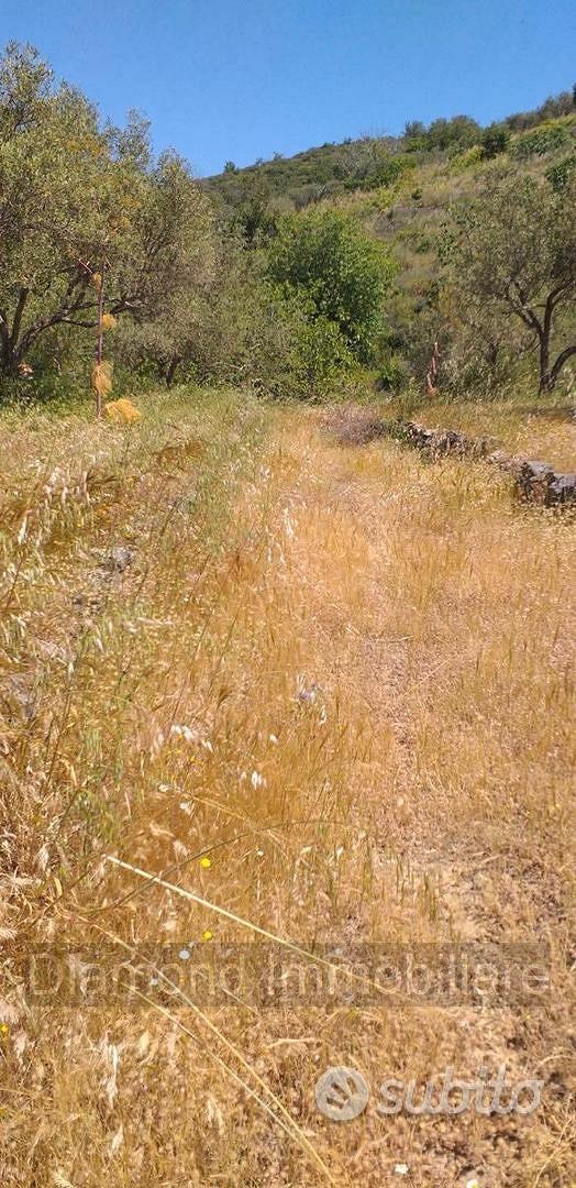 Terreno agricolo a Linguaglossa - Vista 4