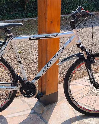 MTB Atala Sting 21v Taglia L  Bologna Corticella 