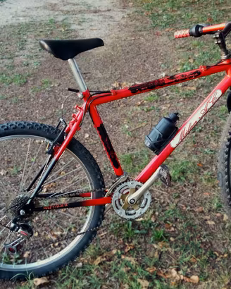 Bicicletta Mountain Bike ruote 26