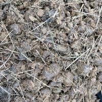 Stallatico di cavallo