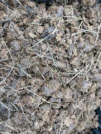 Stallatico di cavallo