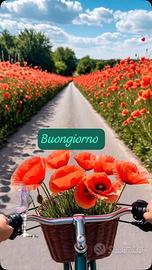 bici uomo