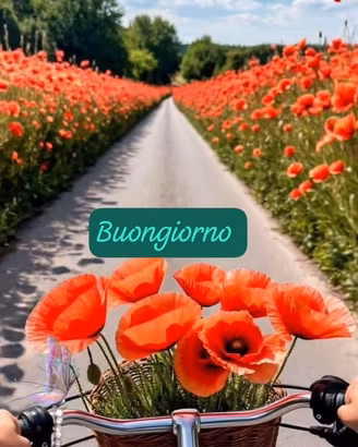 bici uomo