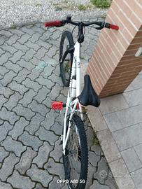 bici usata 