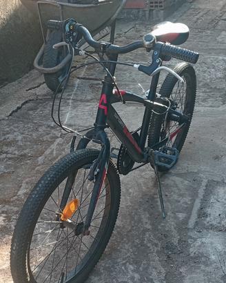 bicicletta per bambini 