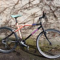 mountain bianchi vintage