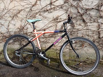 mountain bianchi vintage