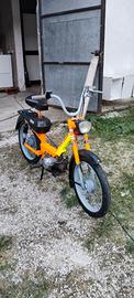 motorino 50