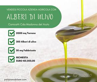 Azienda Agricola a Canicattì