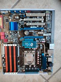 Scheda madre asus p6t se e cpu