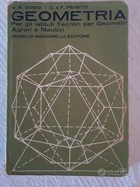Geometria per gli istituti Tecnici per Geometri