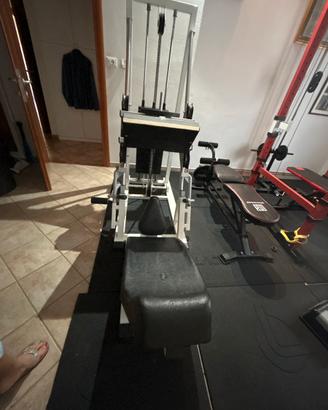 Home Gym Pressa Leg Press 45’