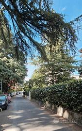 Appartamento di 56 m² con 2 locali a Bologna
