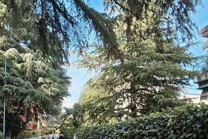 Appartamento di 56 m² con 2 locali a Bologna