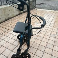 Carrello deambulatore