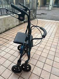 Carrello deambulatore