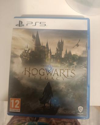 Hogwarts Legacy play station 5