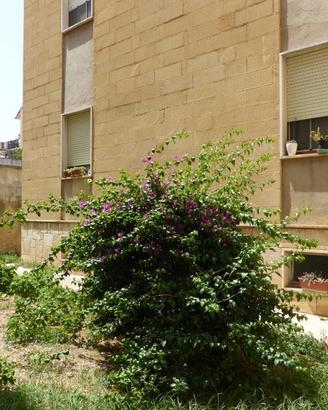 Appartamento Brindisi [Cod. rif 3201353ARG]