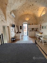 Delizioso monolocale, con terrazza, zona ottocento
