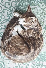 Gatto che dorme in porcellana G.Guastalla