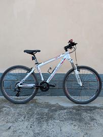 Bici mtb Carraro
