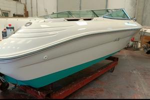 Motoscafo Sea Ray 200