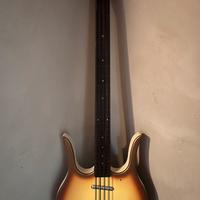 Basso Danelectro Longhorn