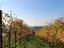 Immagine 24