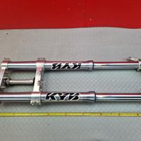 STELI FORCELLA TM SMR 450 F 2005 2006 SMX EN MX 20