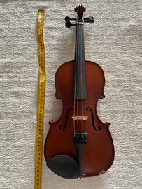Violino