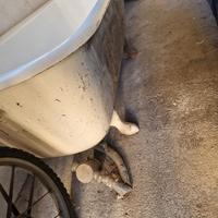 vasca in ghisa,  vintage,  anni'50 