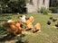 Immagine 5