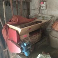 Diraspatrice pigiatrice per uva elettrica