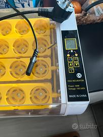 Incubatrice 24 uova automatica