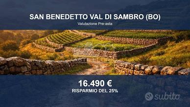 Immobile in asta di 105584 m² a San Benedetto Val 