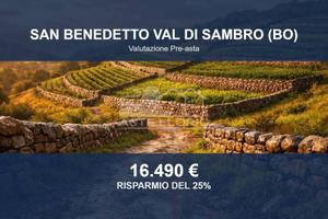 Immobile in asta di 105584 m² a San Benedetto Val 