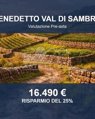 Immobile in asta di 105584 m² a San Benedetto Val 