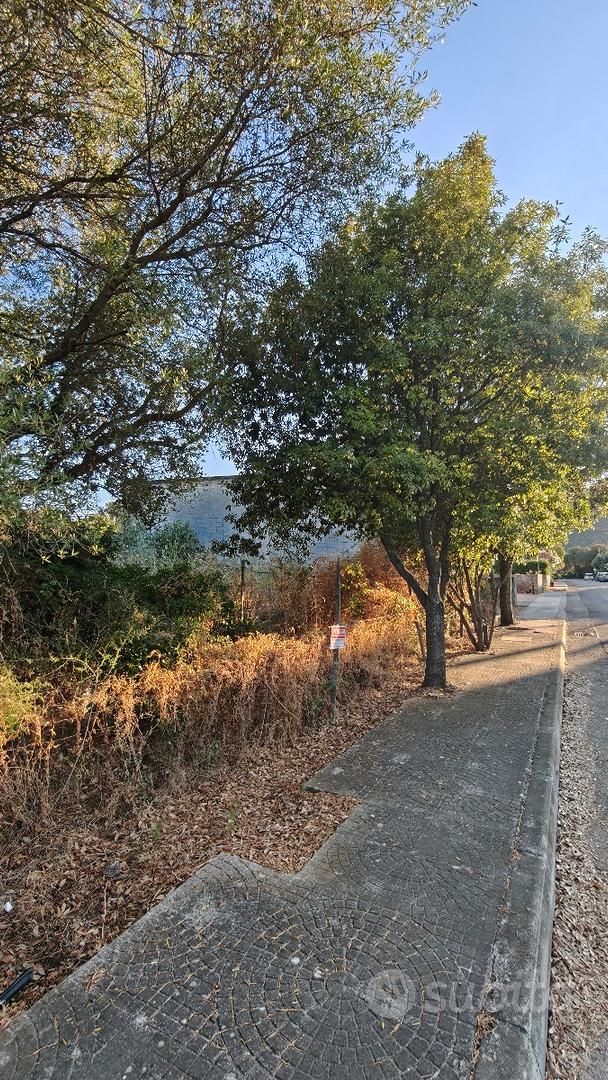 Terreno a Padru via Firenze Aspiddalzu - Vista 2