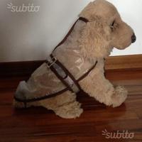 Impermeabile trasparente