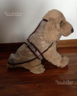 Impermeabile trasparente