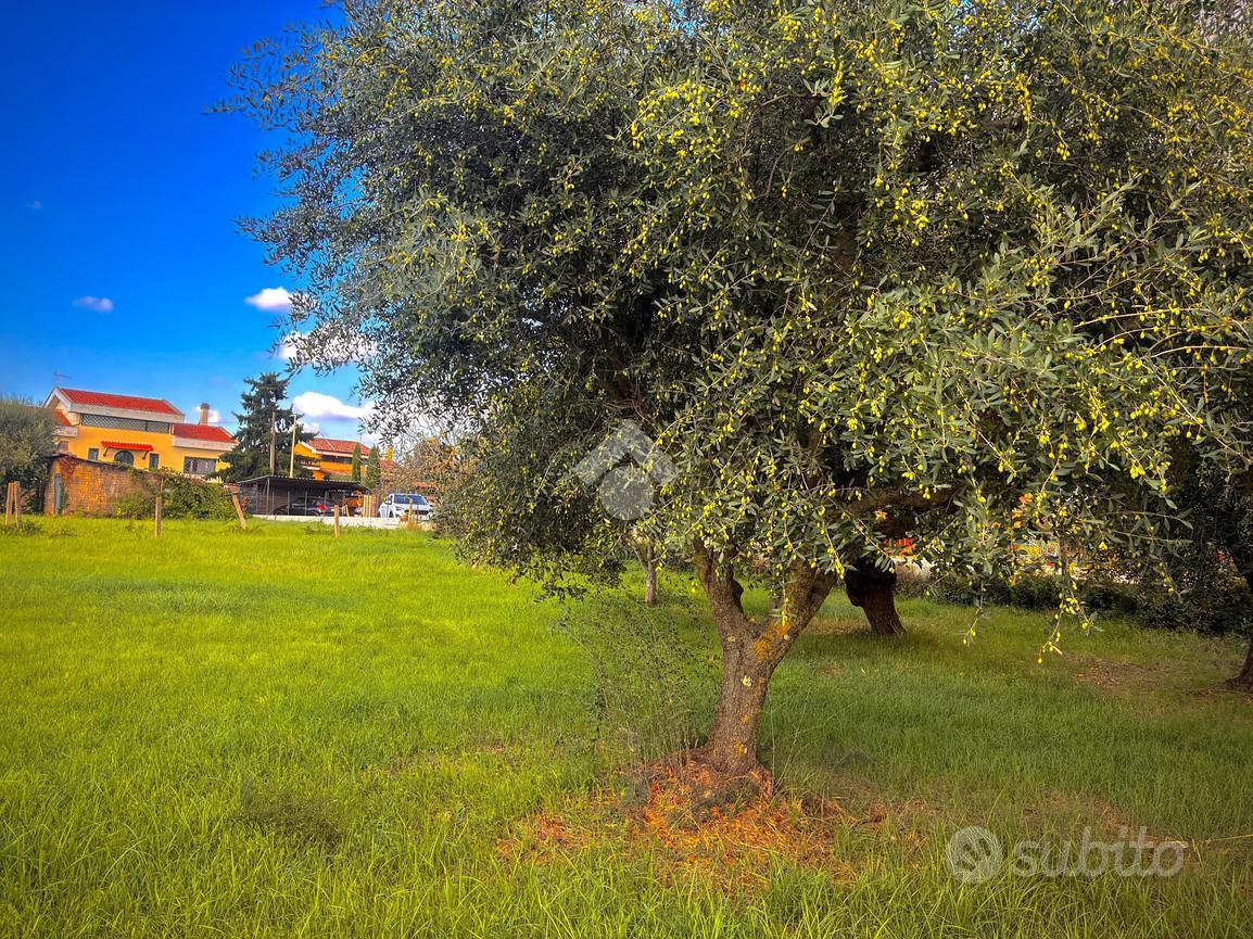 TER. RESIDENZIALE A ALBANO LAZIALE - Vista 3