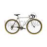 bicicletta-alan-gruppo-simplex