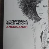 " Americanah " (Chimamanda Ngozi Adichie)